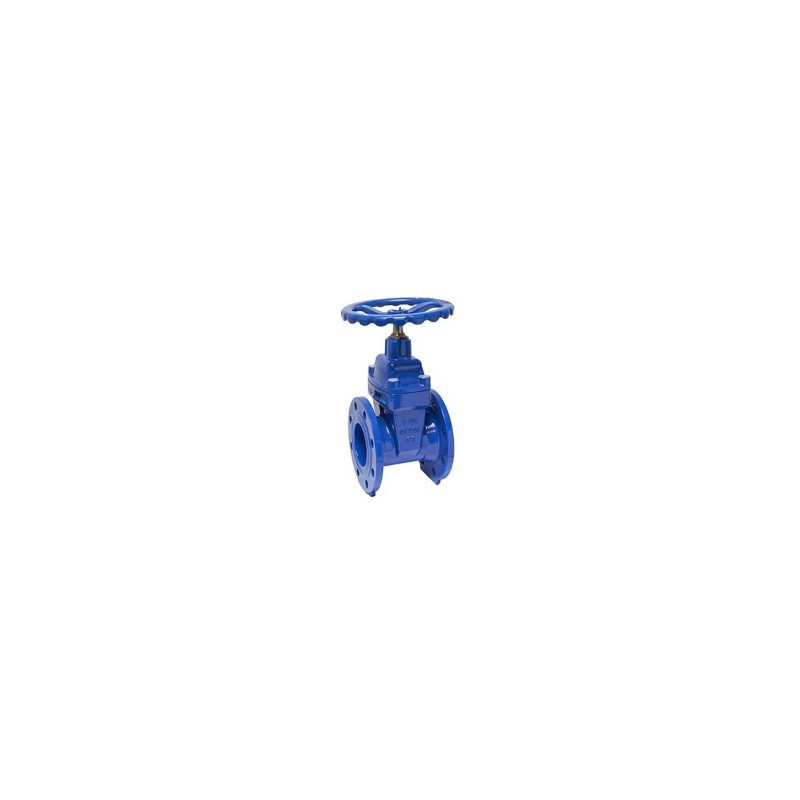 SARACINESCA CUNEO GOMMATO DN100 PN10/16